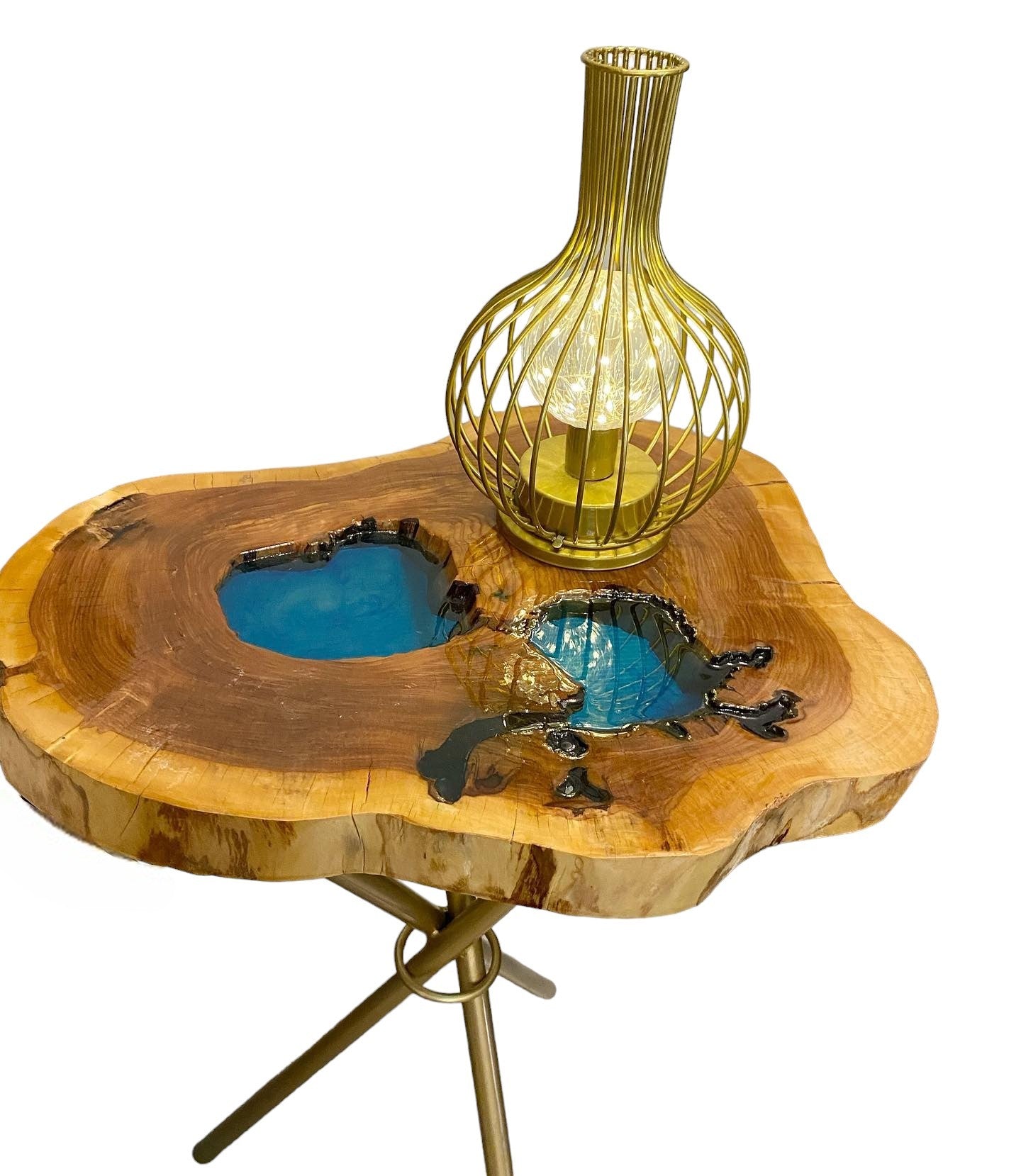 Custom Resin and Wood Coffee Table